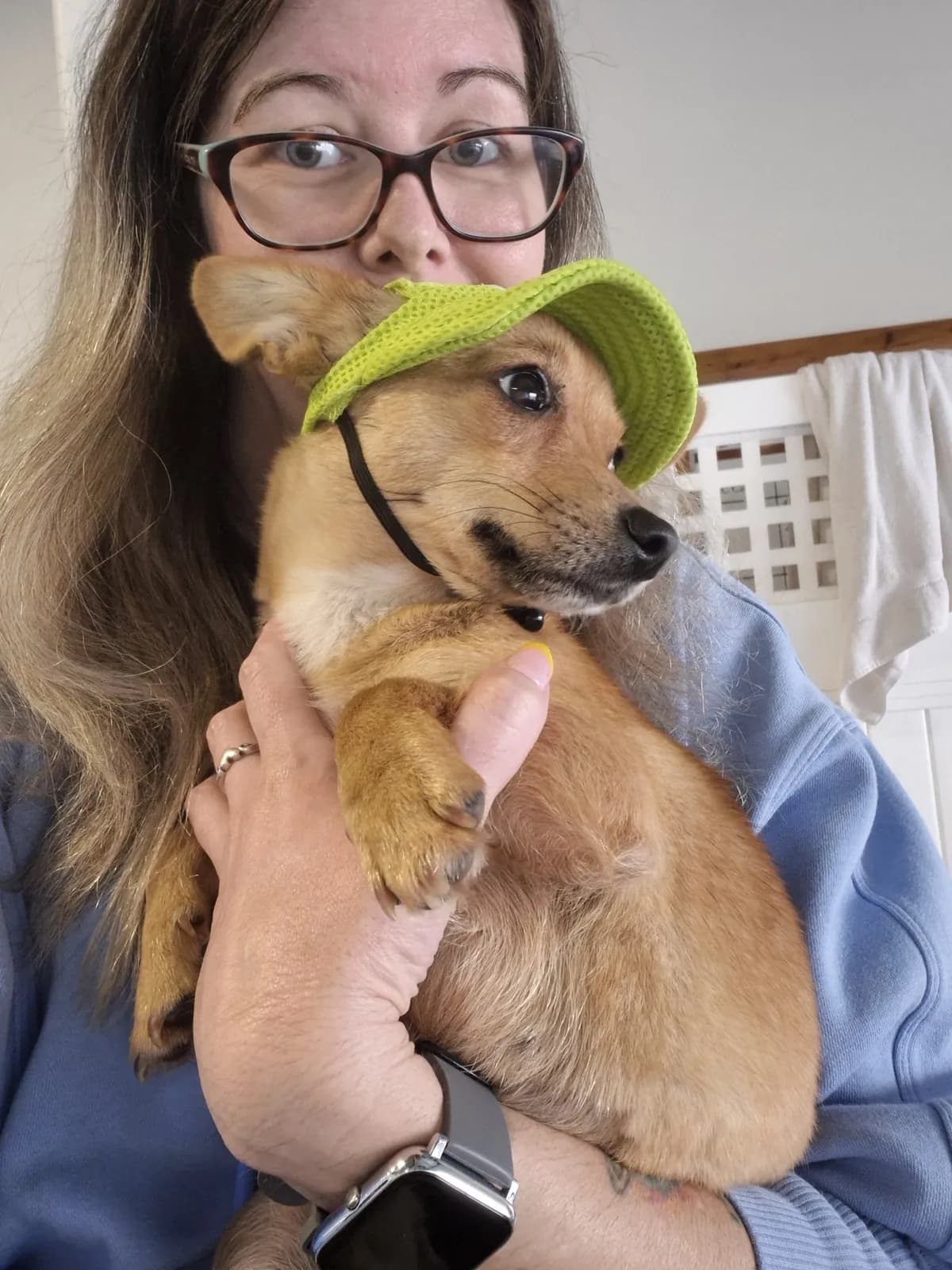 A little tan pup wearing a green sun hat