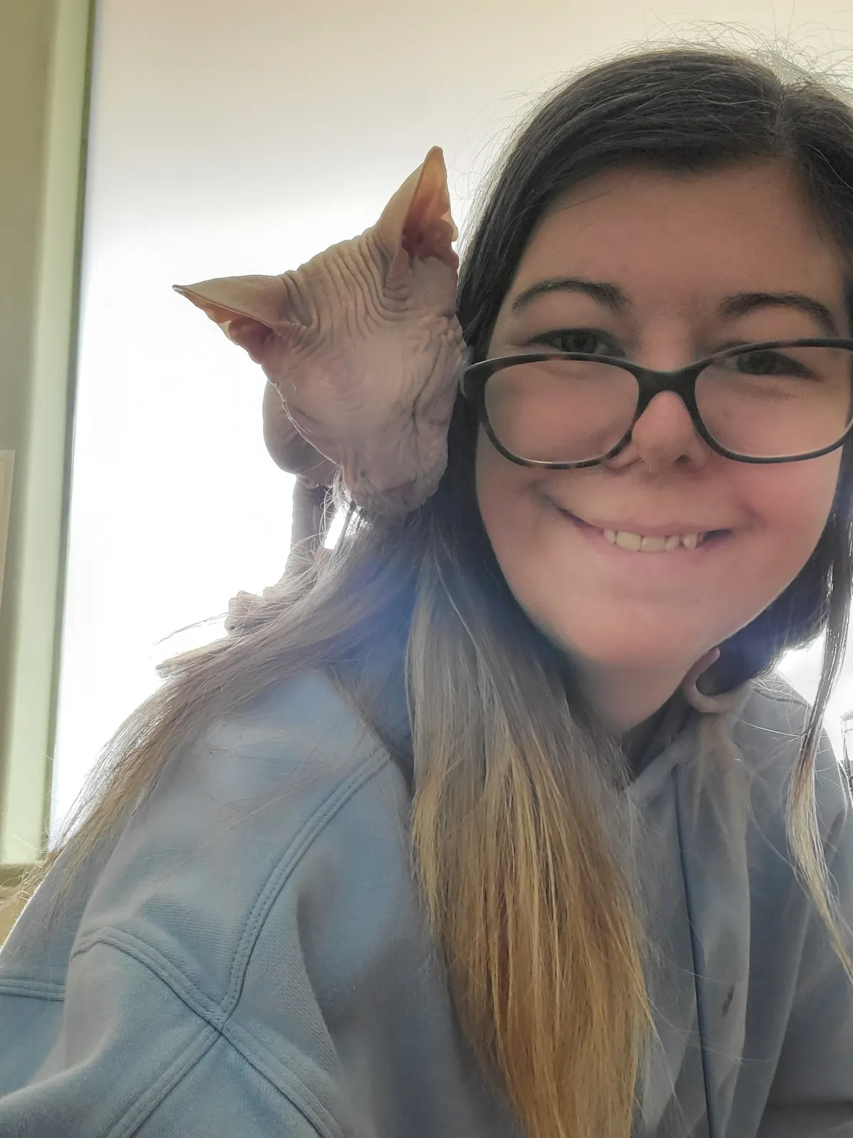 A hairless cat perched on Sarah's shoulder