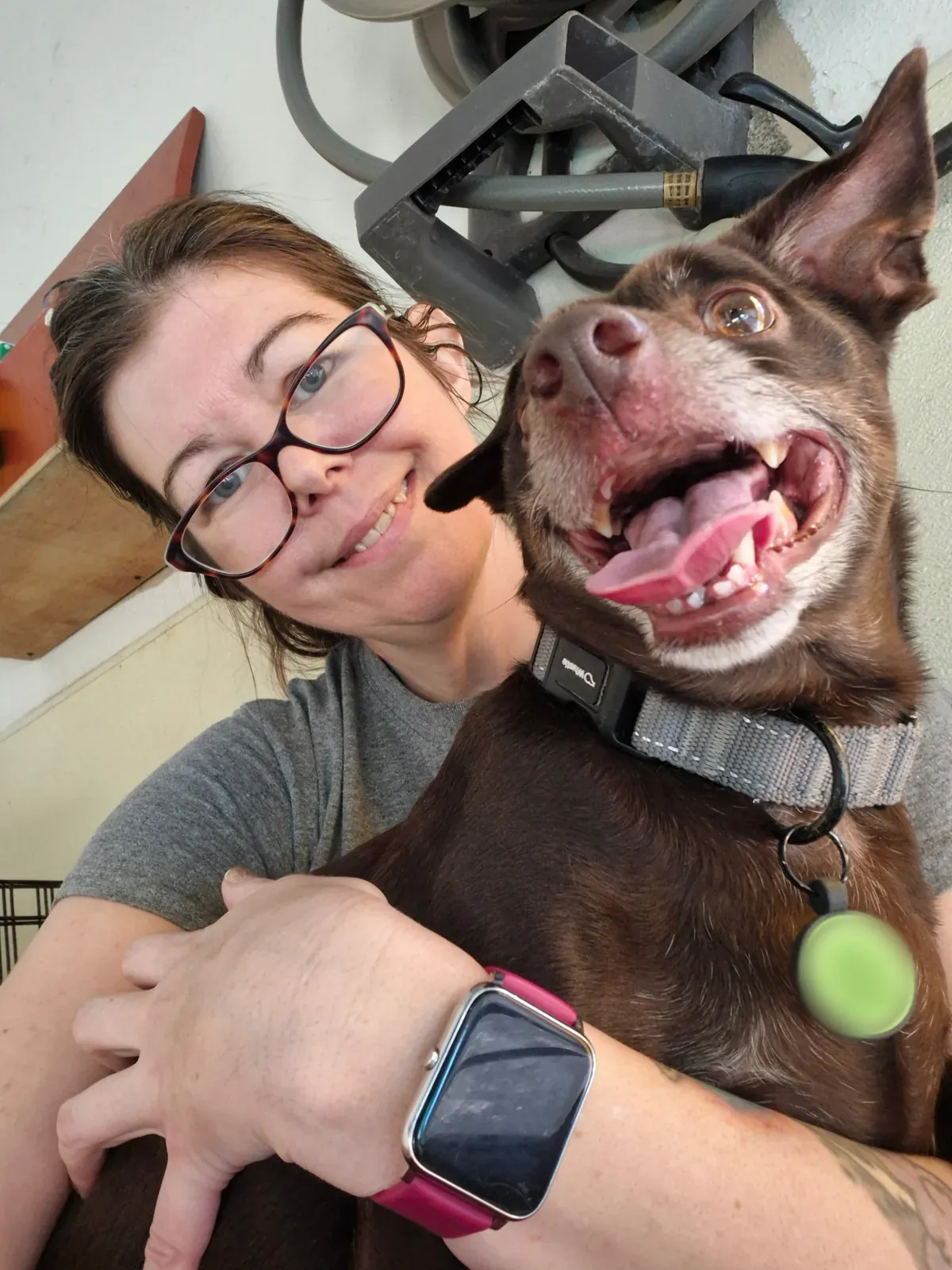 A big grinning brown dog hugging Sarah